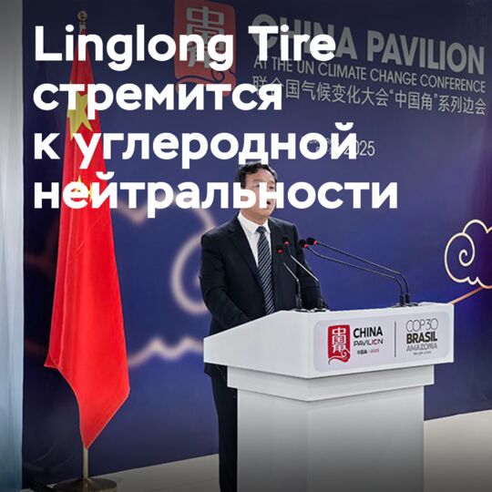 Wang Feng emphasized Linglong's vision for carbon neutrality