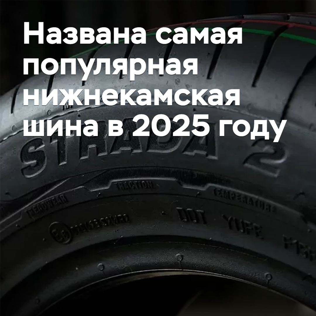 The most popular Nizhnekamsk tire in 2025 has been named