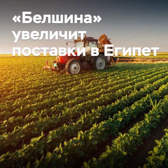 Belshina to increase supplies to Egypt